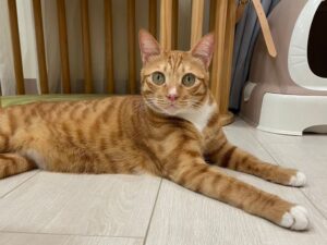 【2025礦砂推薦】新手必看！礦砂優缺點全解析＆選購指南