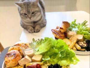 【2025台中最新】必訪寵物友善餐廳!帶毛孩一起用餐的20+ 好去處(持續更新)