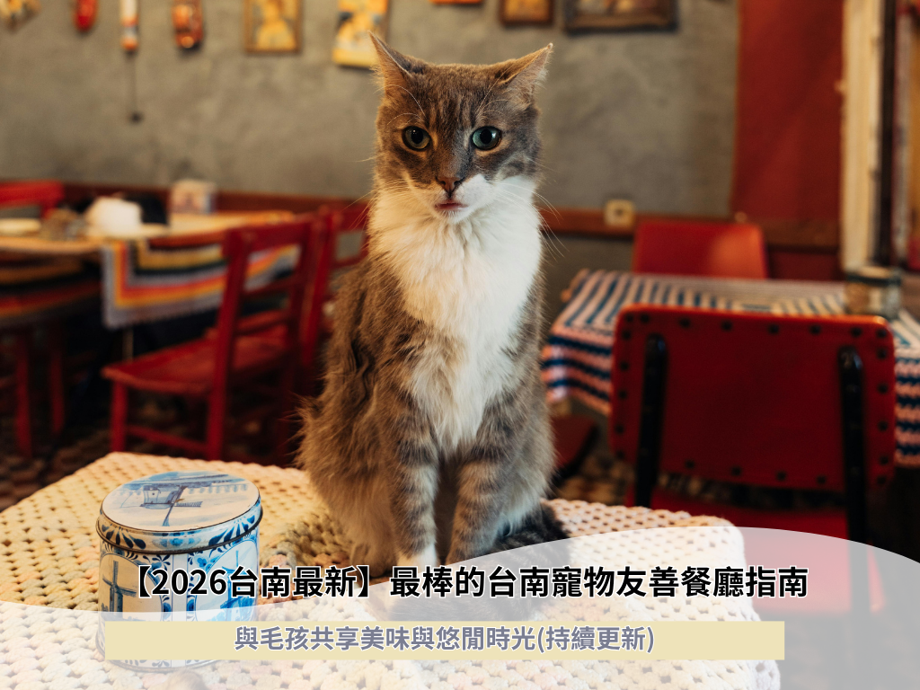 【2026台南最新】最棒的台南寵物友善餐廳指南：與毛孩共享美味與悠閒時光(持續更新)