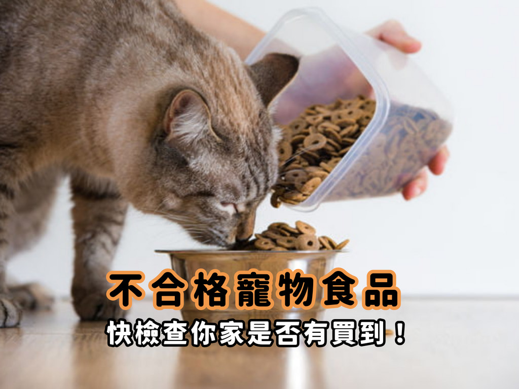 2024–2025 不合格貓糧一次看，快檢查你家是否有買到！(持續更新)