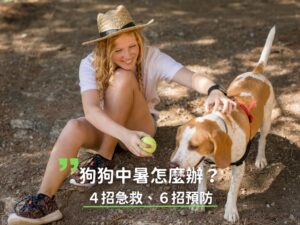 狗狗中暑症狀有哪些？4步驟急救！夏天該如何調整狗狗的生活？
