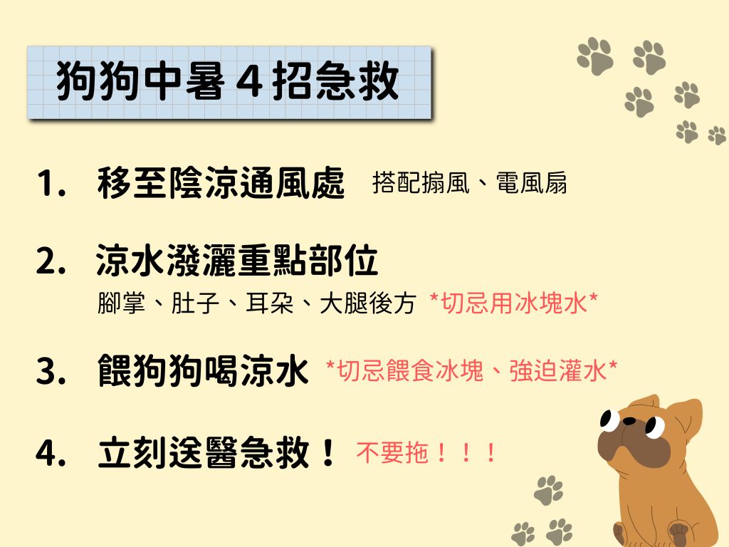 狗狗中暑４招急救