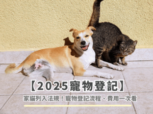 【2025寵物登記】家貓列入法規！寵物登記流程、費用一次看