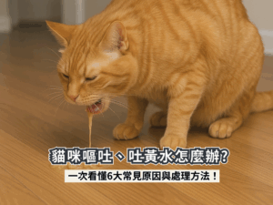 貓咪嘔吐、吐黃水怎麼辦？一次看懂6大常見原因與處理方法！