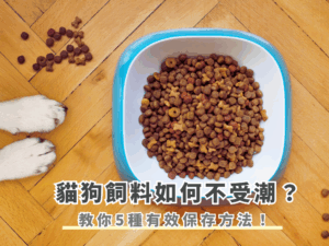 貓狗飼料如何不受潮？教你5種有效的保存方法！