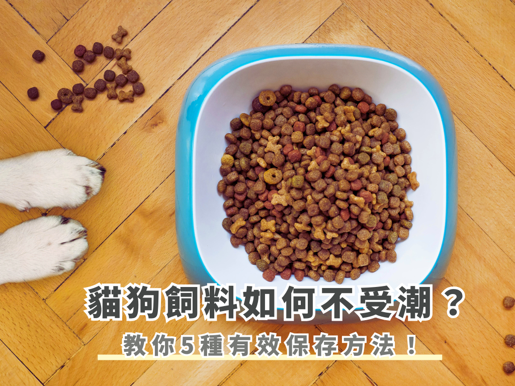 貓狗飼料如何不受潮