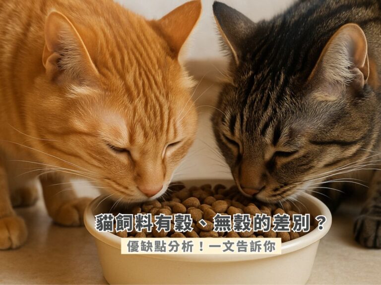 2025貓飼料選擇攻略：有穀與無穀飼料的營養差異與優缺點整理