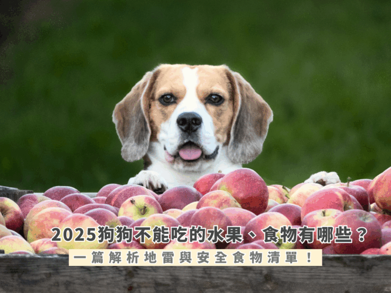 狗狗不能吃的水果、食物有哪些？一篇解析地雷與安全食物清單