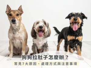 狗狗拉肚子怎麼辦？常見7大原因、處理方式與注意事項