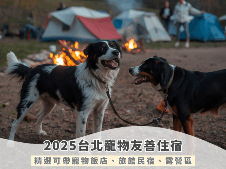 2025台北寵物友善住宿｜ 精選寵物飯店、民宿、露營懶人包（持續更新）