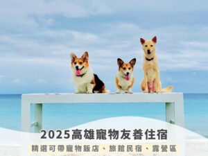 2025高雄寵物友善住宿｜精選可帶寵物飯店、民宿、露營懶人包（持續更新）