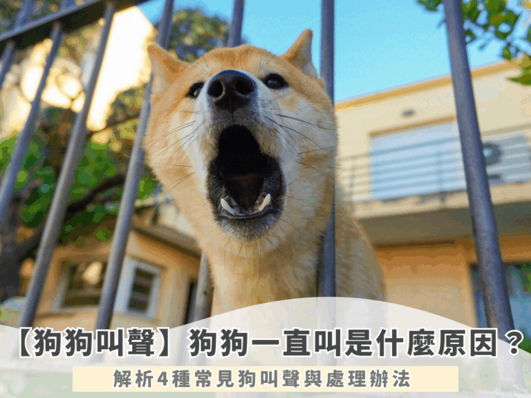 【狗狗叫聲】狗狗一直叫是什麼原因？解析4種常見狗叫聲與處理辦法 