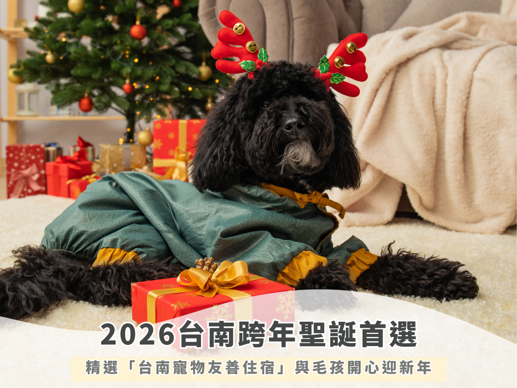 2026台南跨年聖誕首選！精選「台南寵物友善住宿」與毛孩開心迎新年