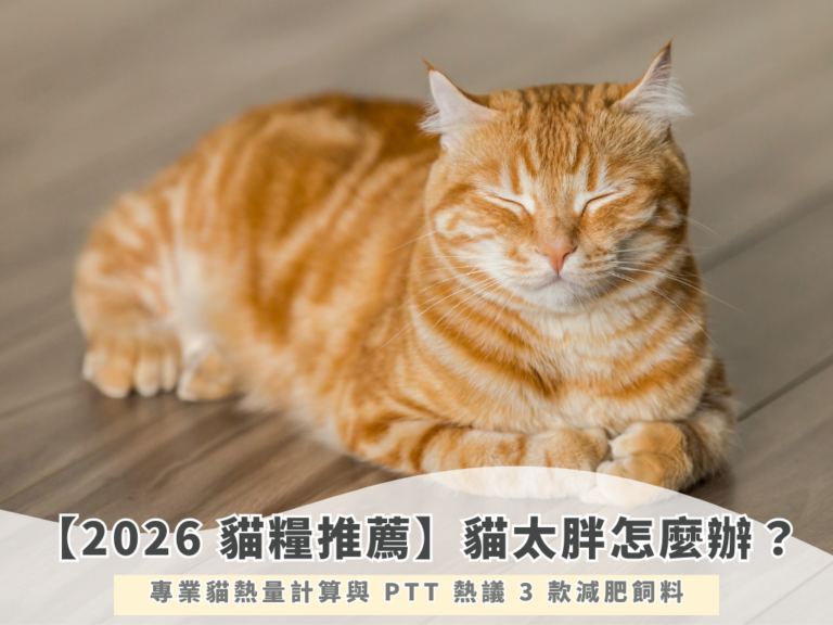 【2026 貓糧推薦】貓太胖怎麼辦？專業貓熱量計算與 PTT 熱議 3 款減肥飼料