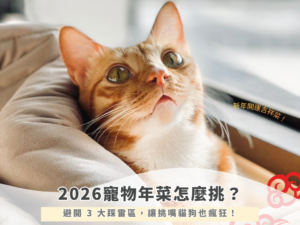 2026寵物年菜怎麼挑？避開 3 大踩雷區，讓挑嘴貓狗也瘋狂！