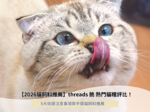 【2026貓飼料推薦】threads 脆 熱門貓糧評比！5大挑選注意事項與平價貓飼料推薦