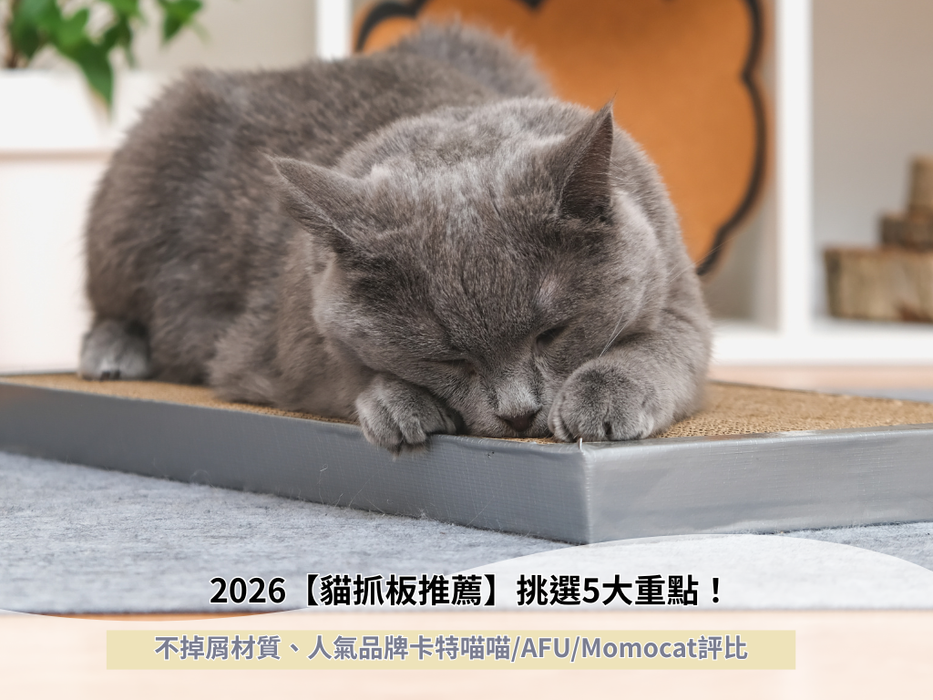 2026【貓抓板推薦】挑選5大重點！不掉屑材質、人氣品牌卡特喵喵/AFU/Momocat評比
